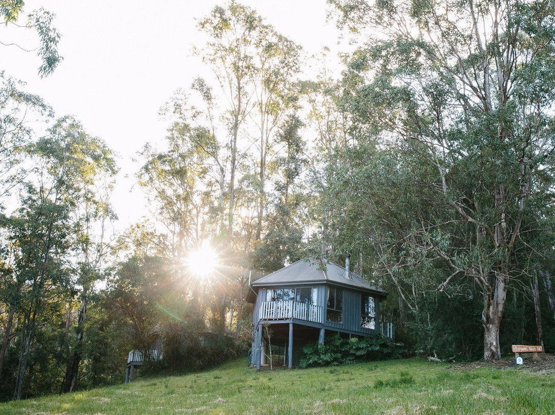 巴林顿顶峰蓝桉小屋酒店