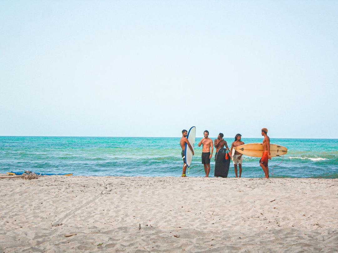 Palomino surf bodyboard school-帕洛米诺必去景点