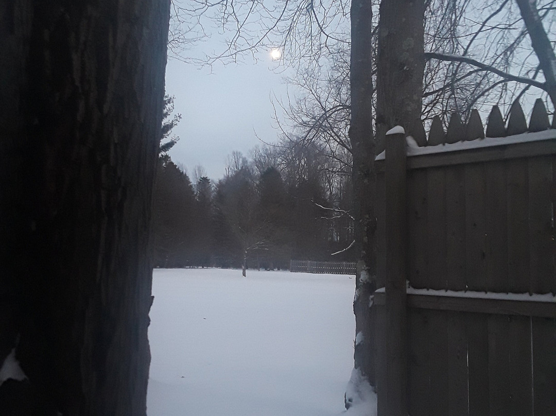 Marienville旅游攻略图片