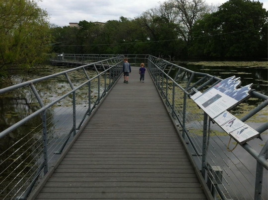 The Meadows Center For Water And The Environment-圣马科斯必去景点