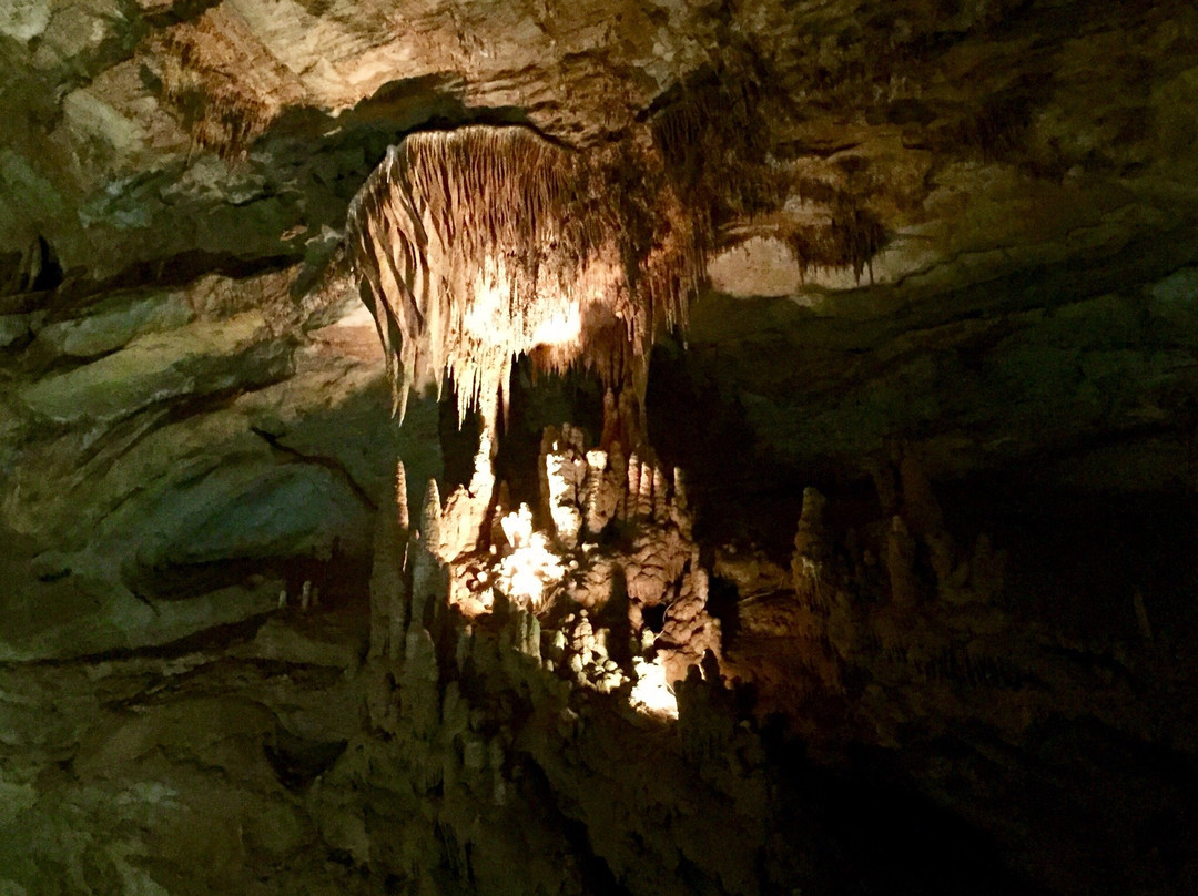Tuckaleechee Caverns景点图片
