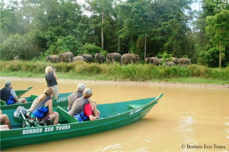 Borneo Eco Tours-亚庇必去景点