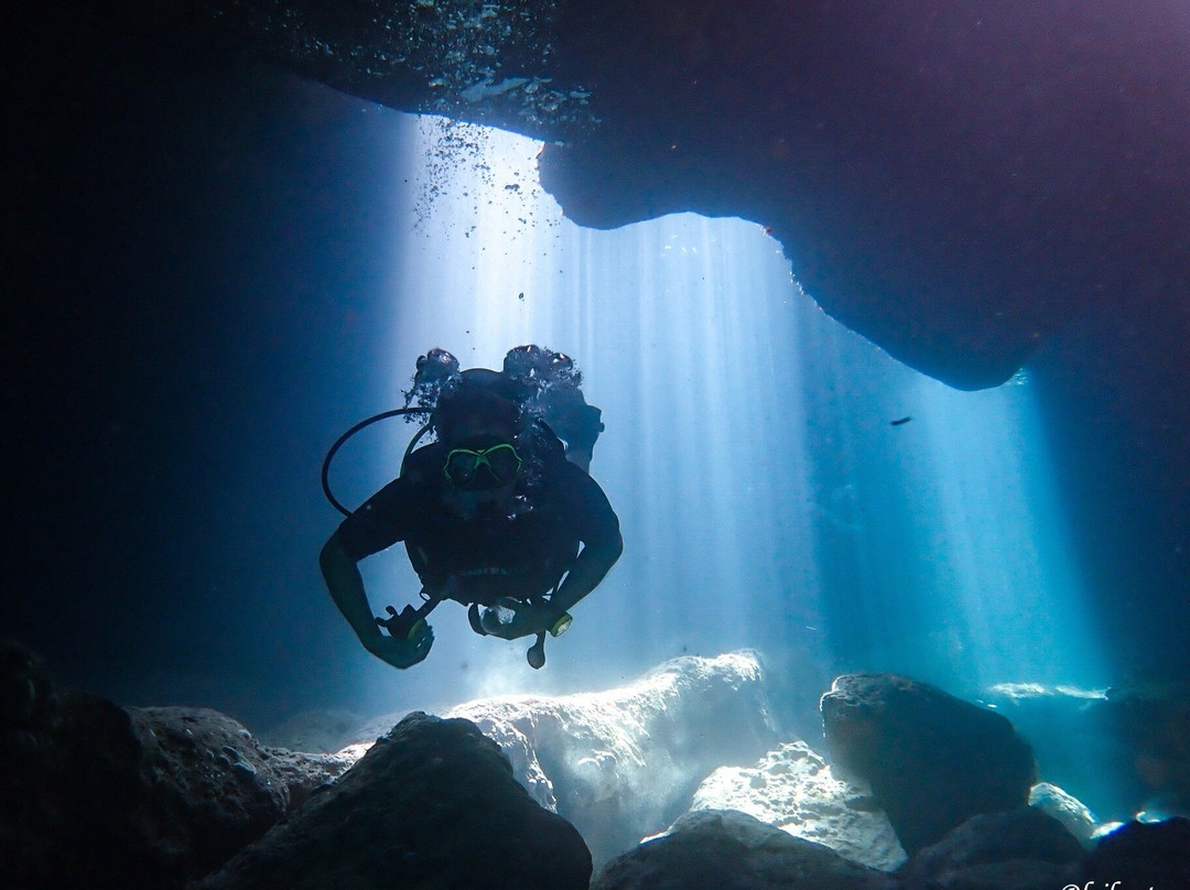 Royal Blue Diving Center (Francophone)-雷斯蒙必去景点