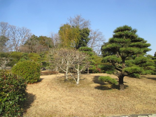 Yashikiyama Park景点图片