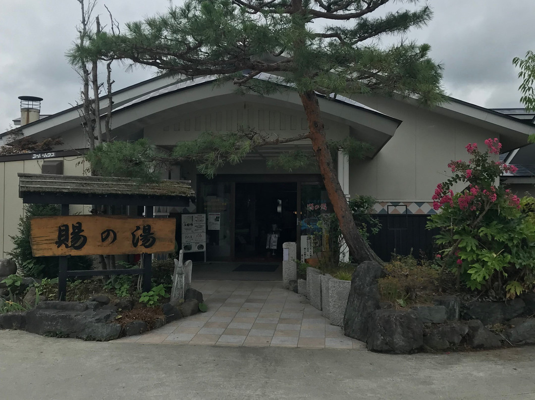 Oitama Onsen Tama no Yu景点图片