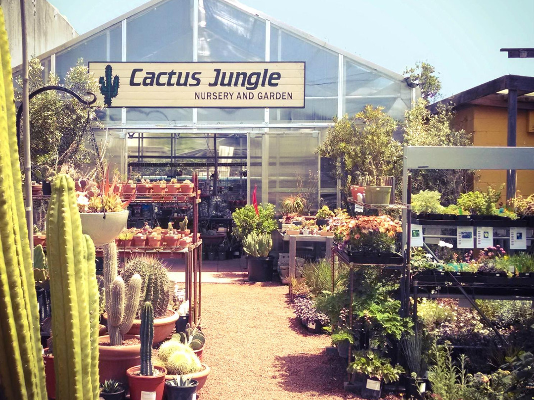 Cactus Jungle-伯克利必去景点