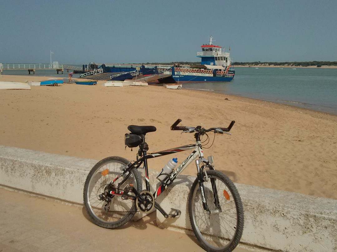 Playa de Bajo de Guia
