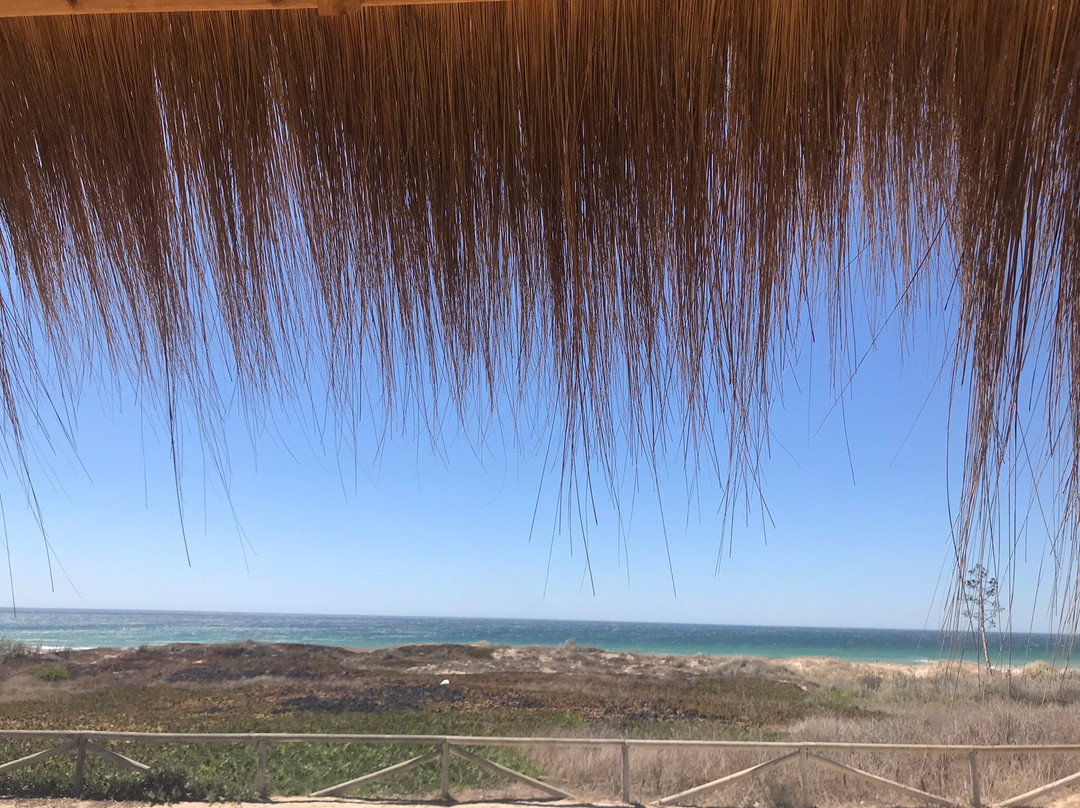 Cervecería La Carmela