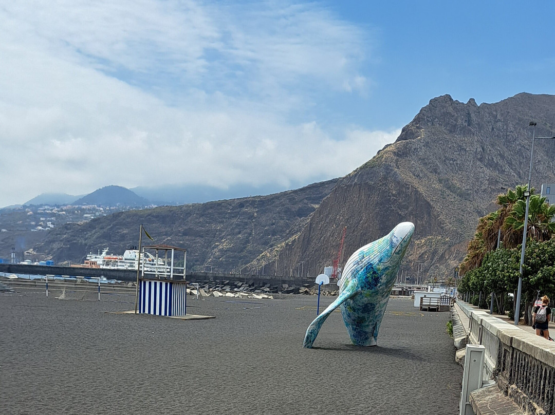 Whale Sculpture景点图片