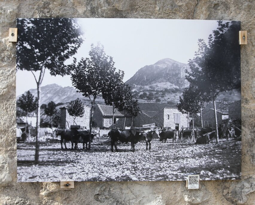 Place Des Écoles