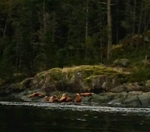 Aboriginal Journeys - Wildlife And Adventure Tours-坎贝尔里弗必去景点
