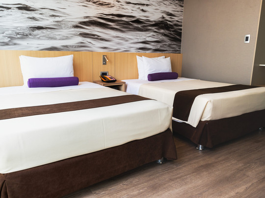 Palmetto Hotel Business San Borja主图