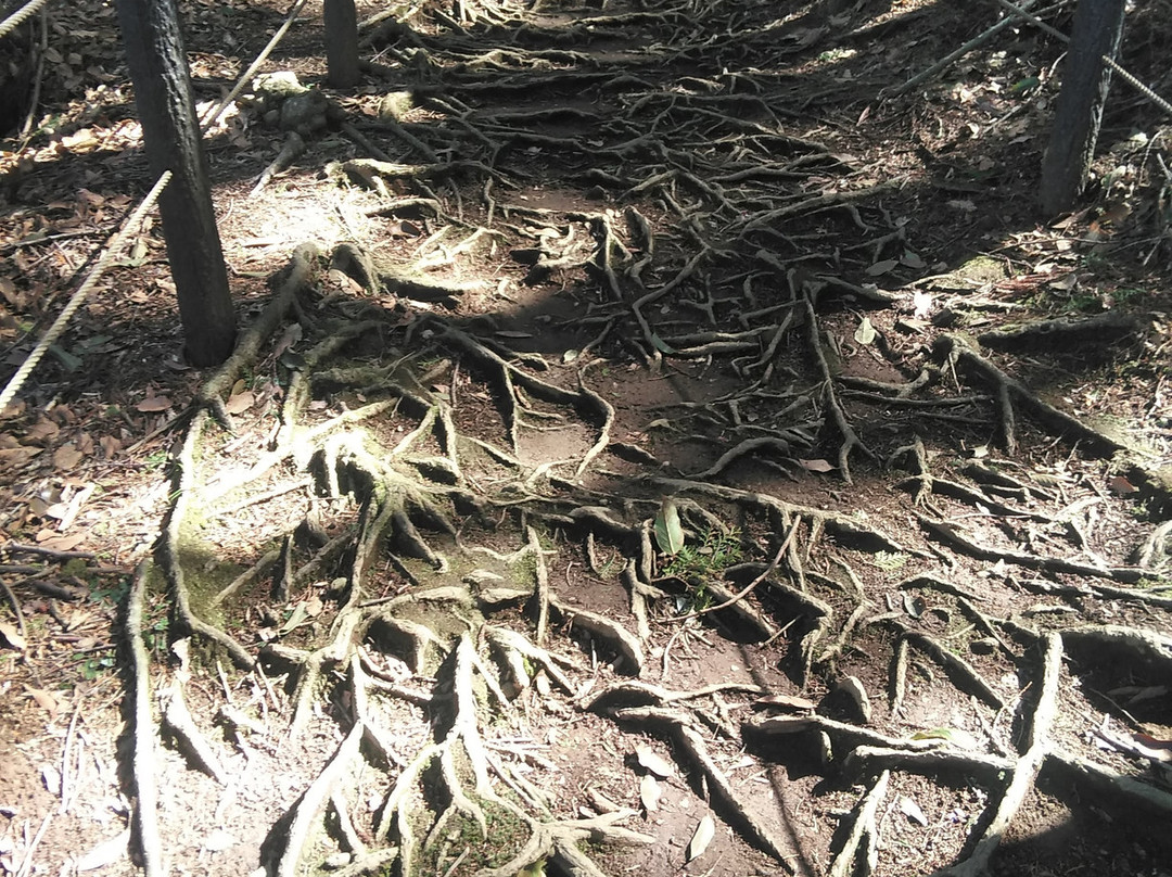 Yamanaka Castle Ruins景点图片