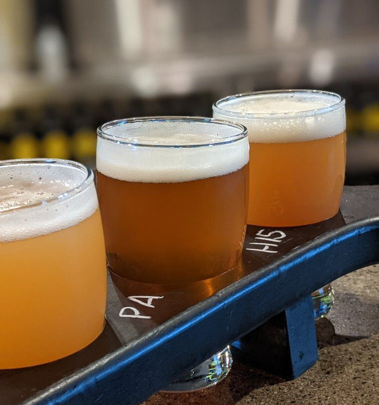 Yellow Dog Brewing Co.-穆迪港必去景点