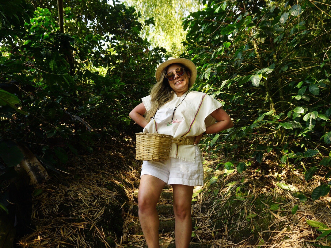 Hotel Finca del Cafe主图