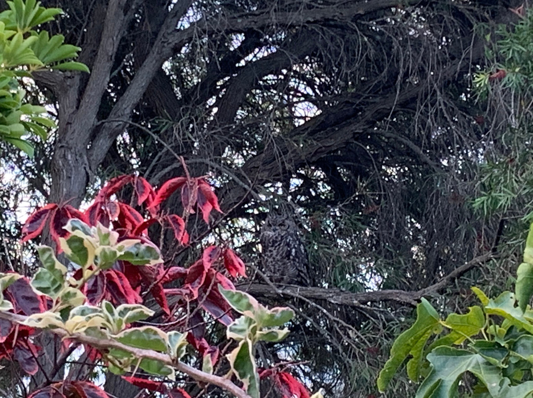 海湾豪华旅馆主图