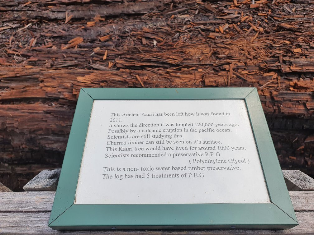 Gumdiggers Park-Awanui必去景点