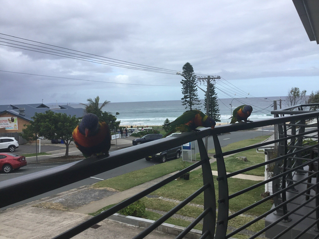 Allure on Ocean Motel主图