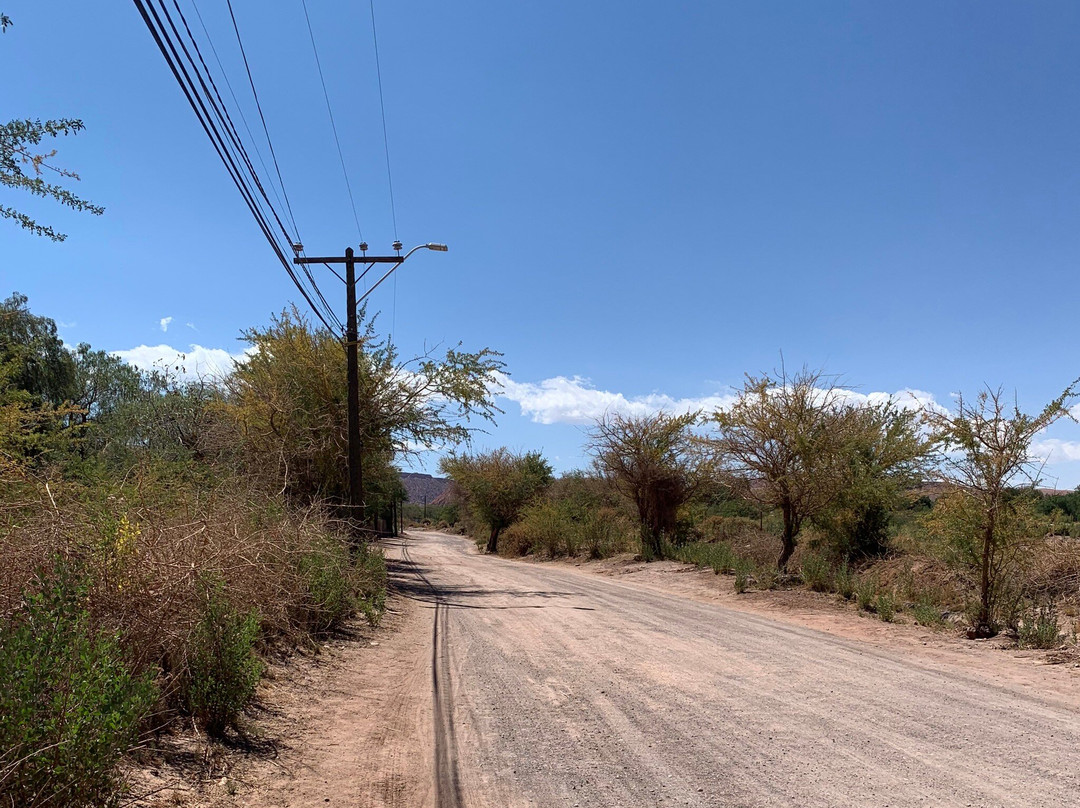 Pukara de Quitor-圣佩德罗-德阿塔卡马必去景点