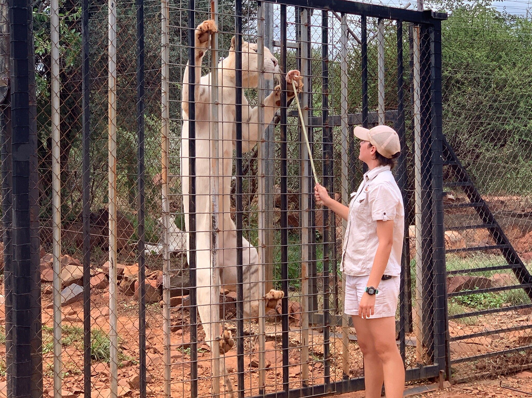Akwaaba Predator Park-鲁斯登堡必去景点