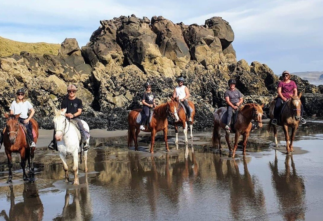 Wildcoast Ruapuke Horse Riding景点图片