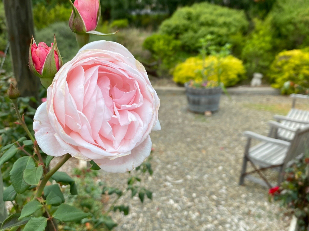 Bed & Breakfast at Tiffany's主图