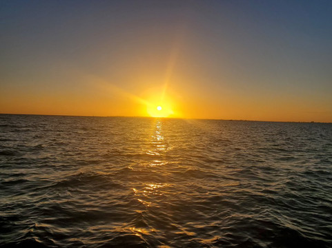 SWFL Party Pontoon-迈尔斯堡海滩必去景点