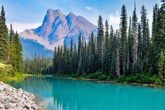 Tripvia Tours-雷夫尔斯托克必去景点