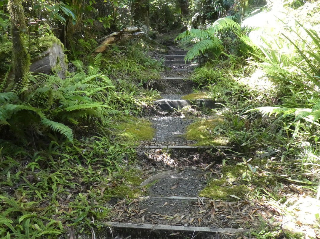 Connett Loop Track景点图片