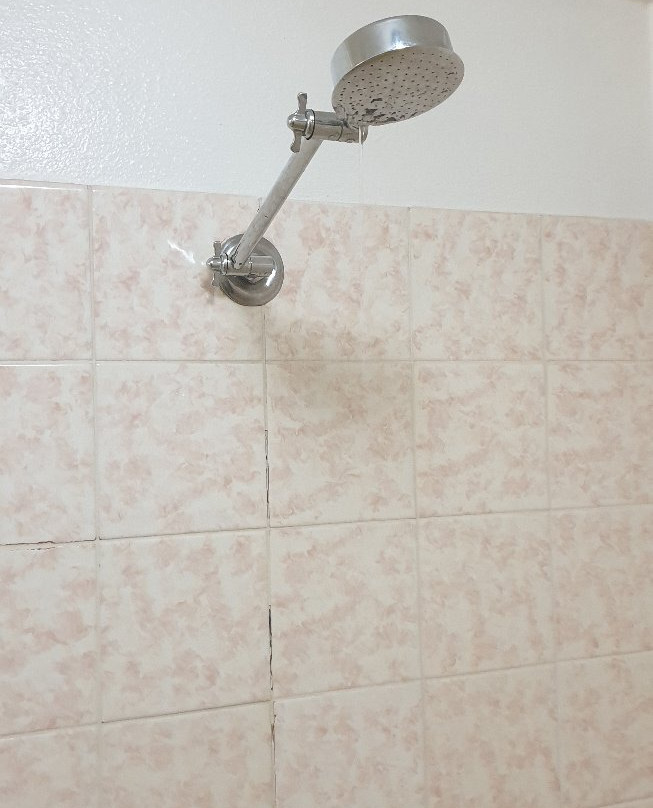 Fox Glenn Motor Inn主图