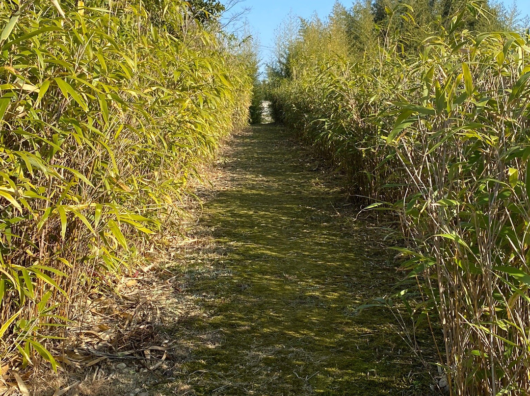 Shozui Yoshiie Monument-蓝住町必去景点