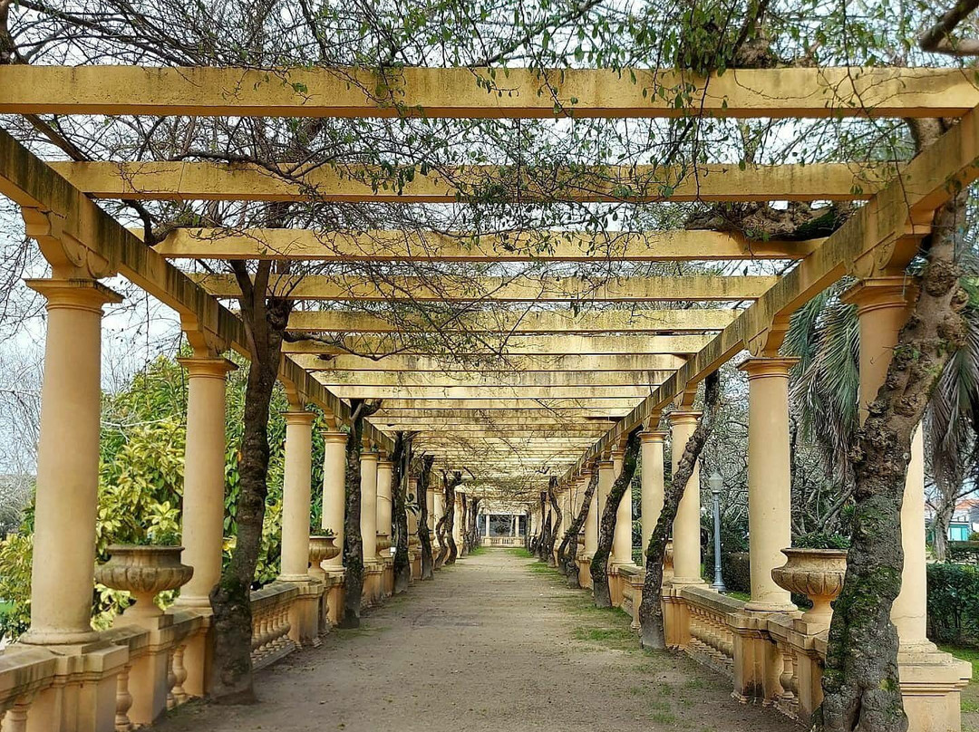 Parque Infante D. Pedro景点图片
