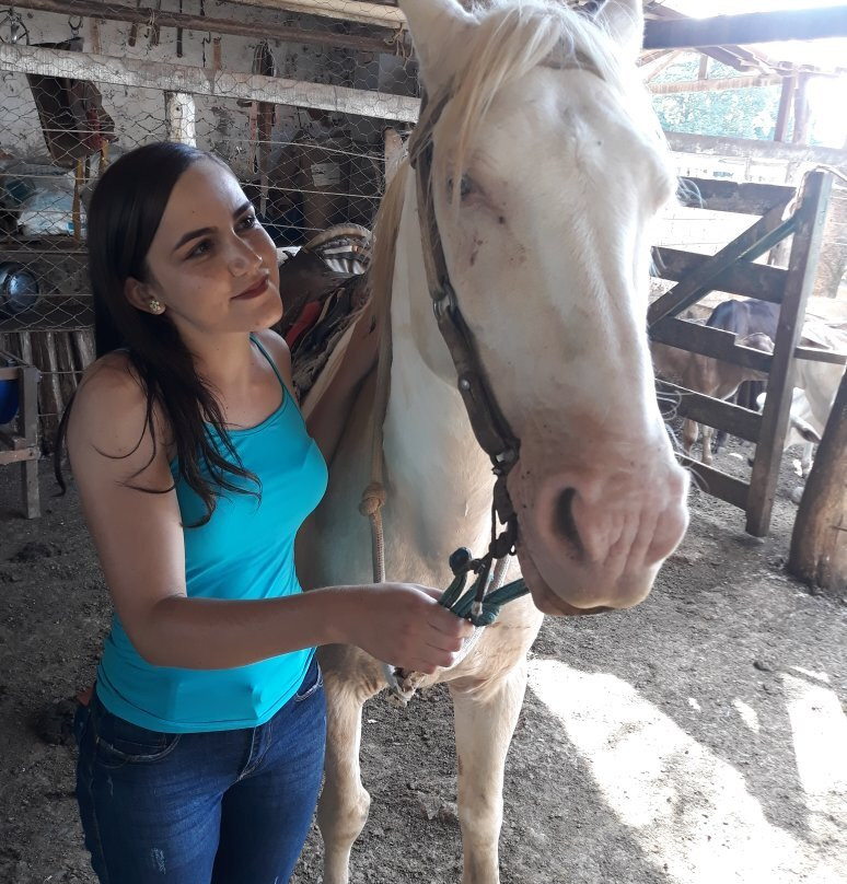 Hotel Fazenda Araras主图