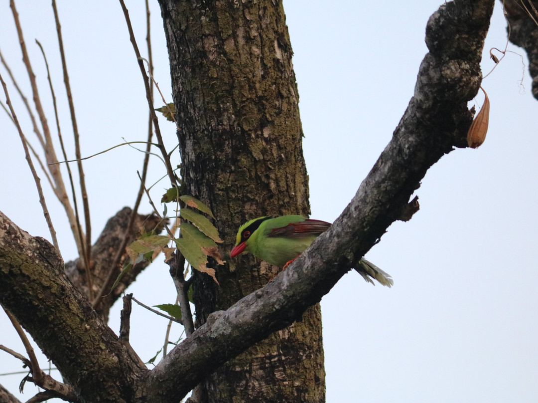 Saalvan Spa & Resort主图