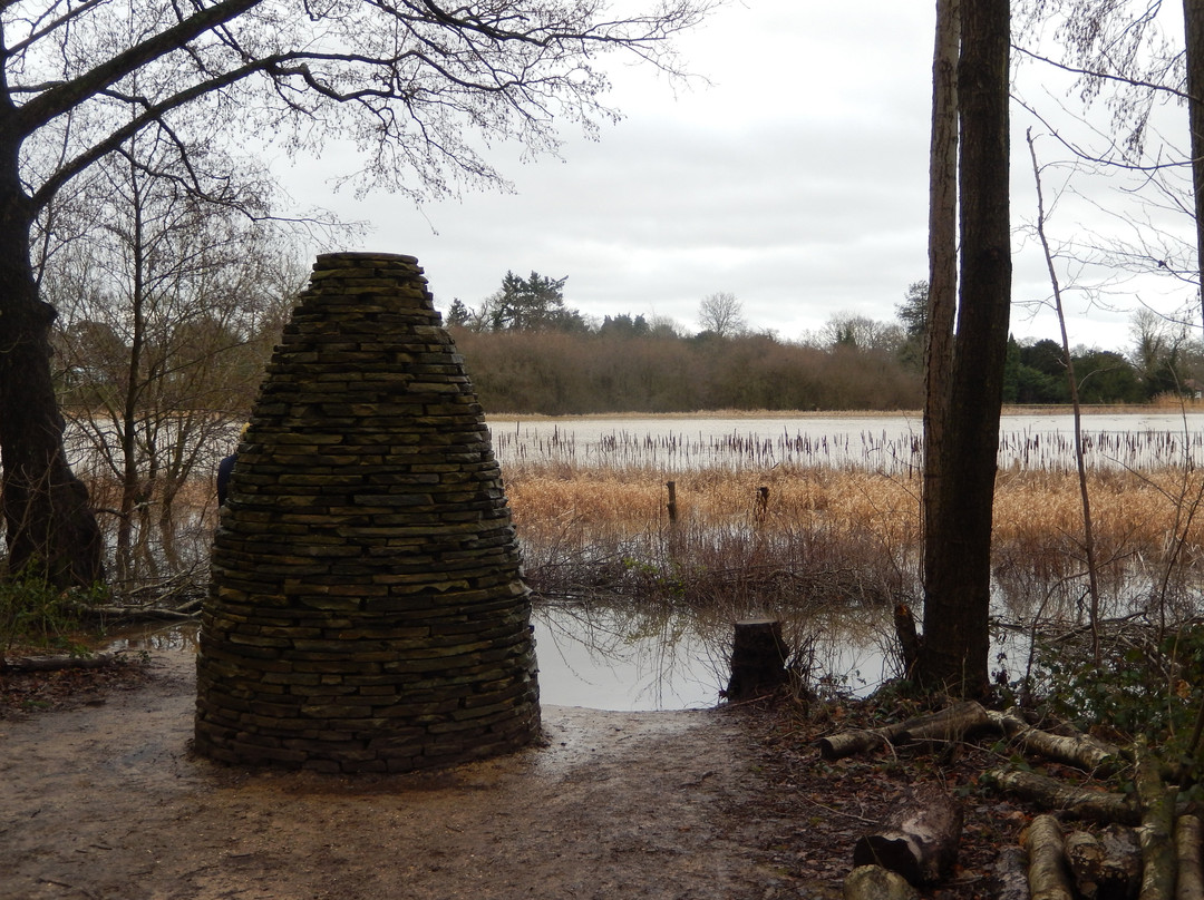 Warnham Local Nature Reserve景点图片
