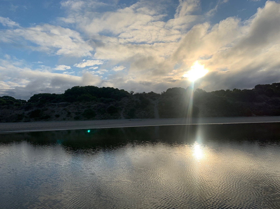 Lashmar Conservation Park景点图片