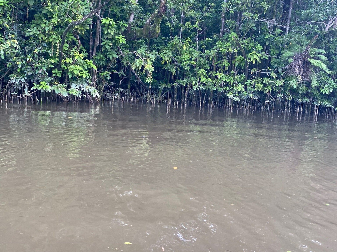 Daintree Boatman Wildlife Cruises-Daintree必去景点