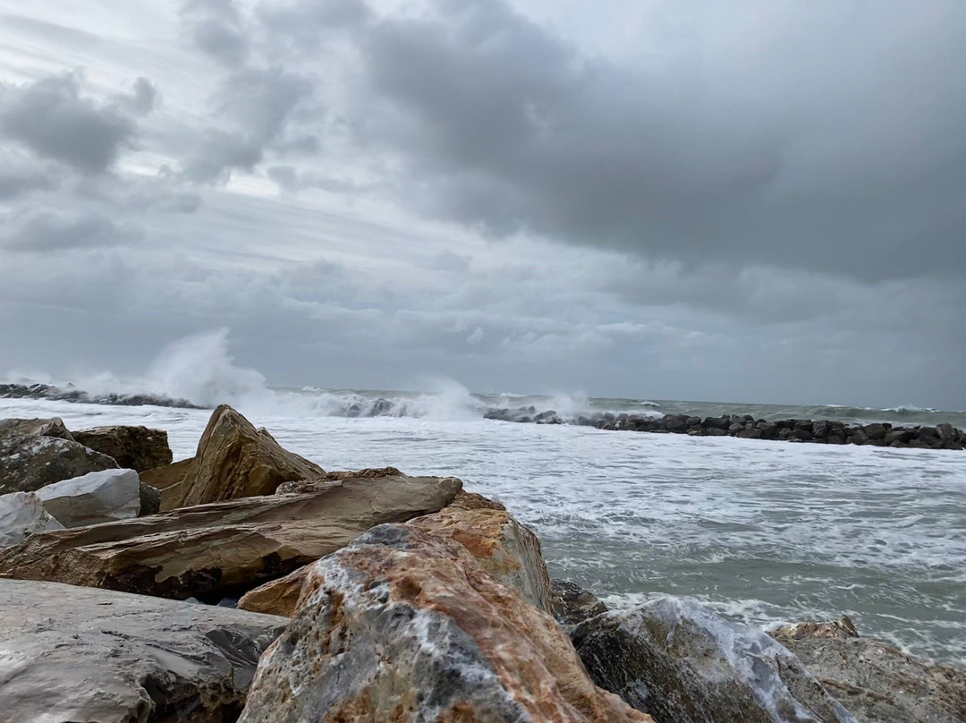 Scogli Marina di Pisa-Marina di Pisa必去景点