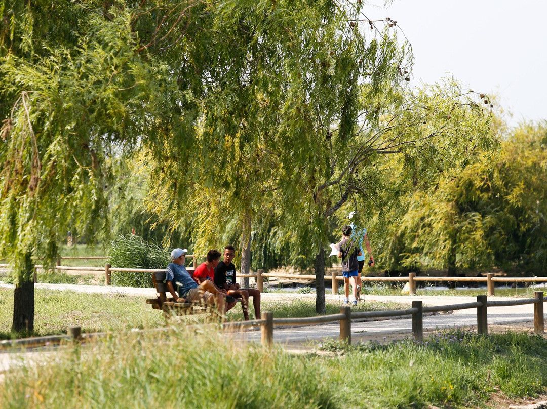 Parc De La Prade-Saint-Cyprien必去景点