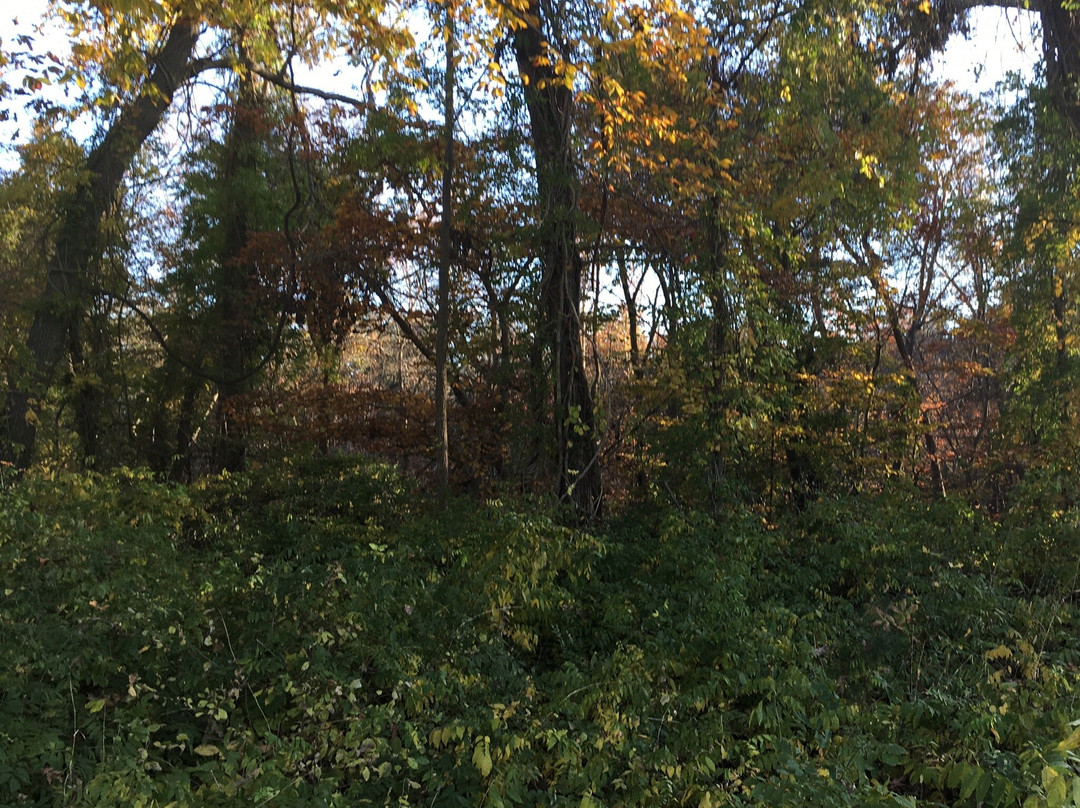 Rancocas State Park景点图片