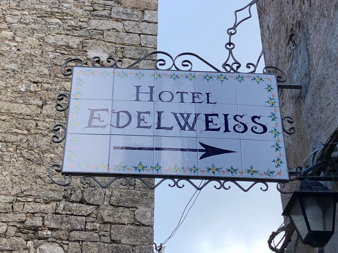 Hotel Edelweiss主图