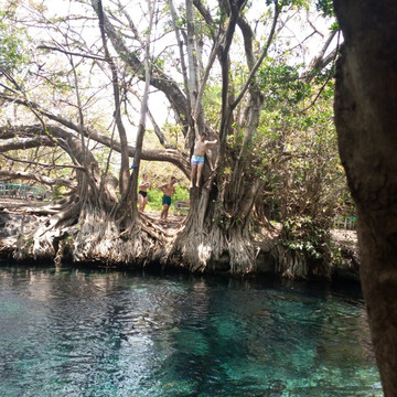 Copasa Travel-莫西必去景点