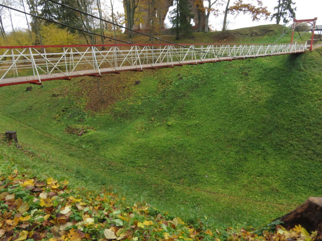 Viljandi Rope Bridge-维尔扬迪必去景点