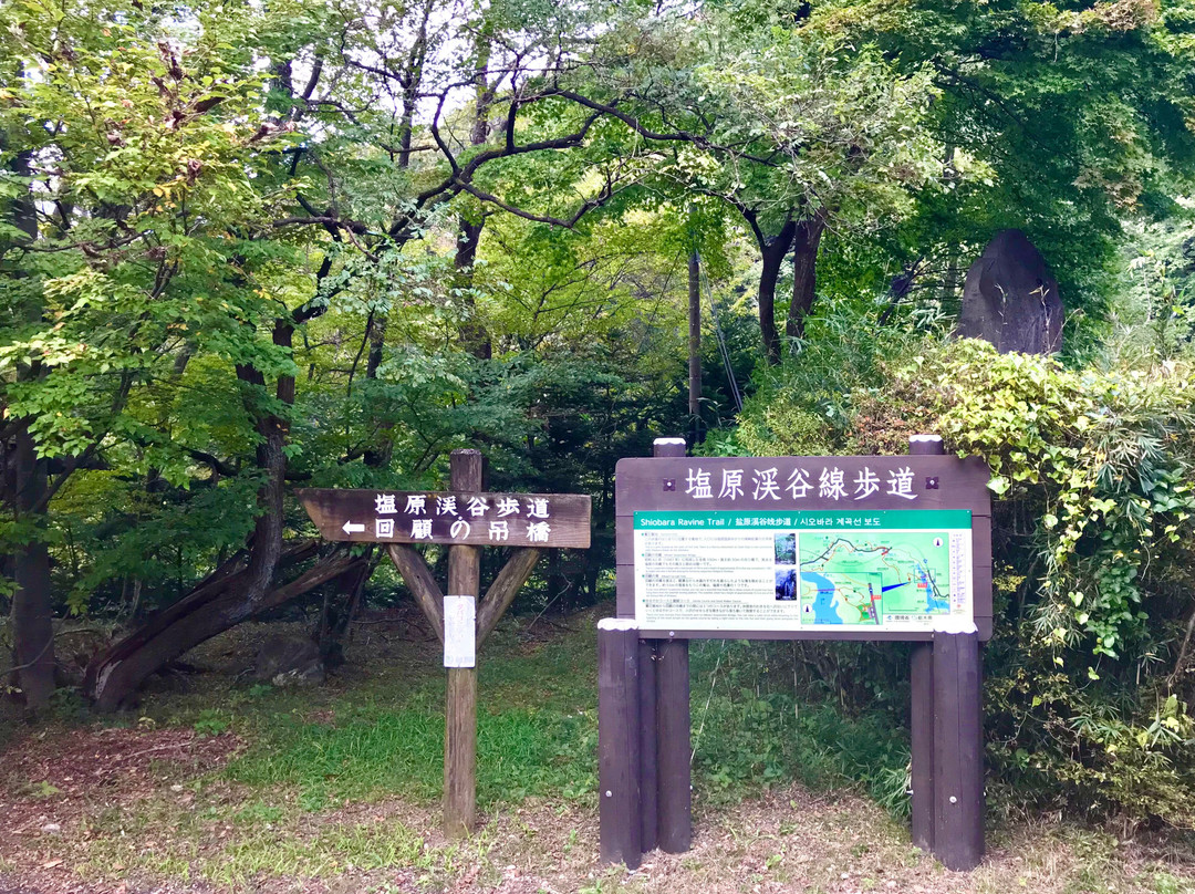 Mikaeri Suspension Bridge-那须盐原市必去景点