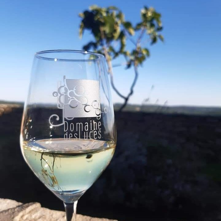 DOMAINE DES LUCES景点图片