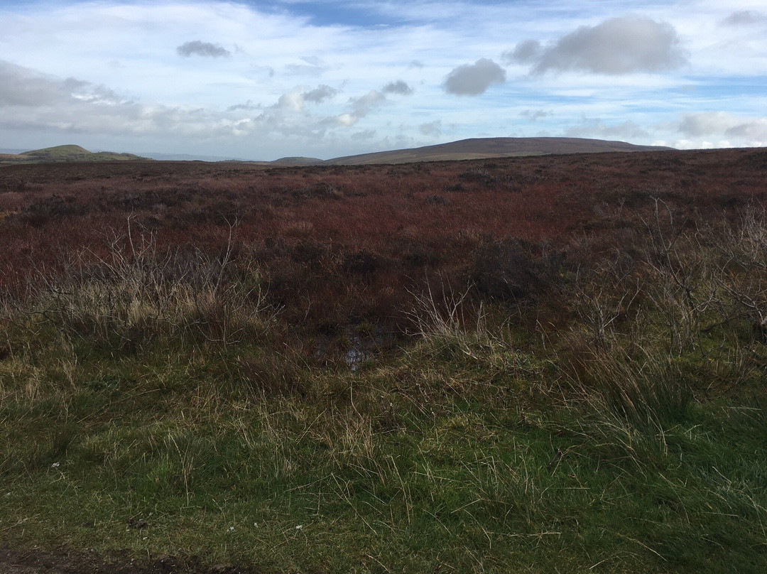 Cuilcagh Mountain Park-Florencecourt必去景点