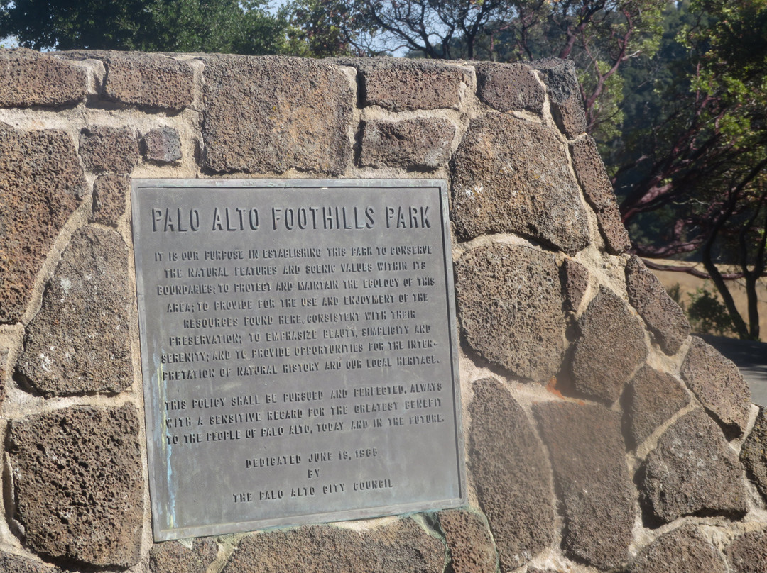 Foothills Park-帕罗奥多必去景点