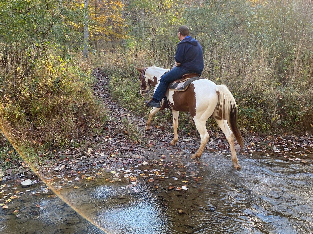 Rocking S Ranch-温切斯特必去景点