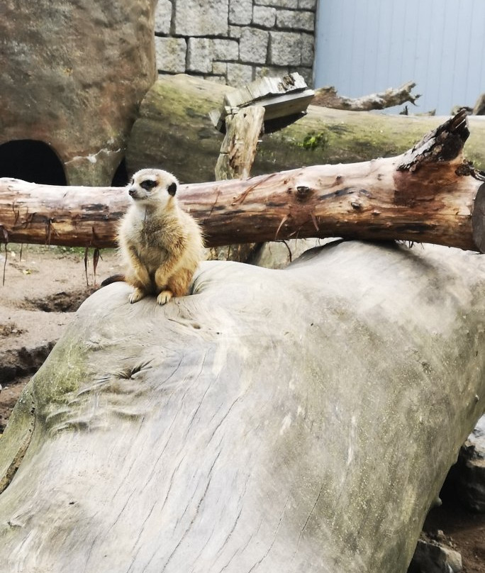 Zoologischer Garten Hof景点图片