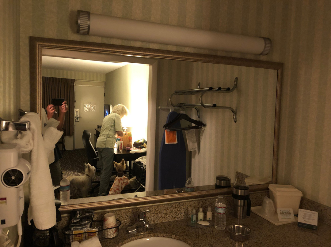 弗雷德里克斯堡凯艺酒店-近历史区中心主图